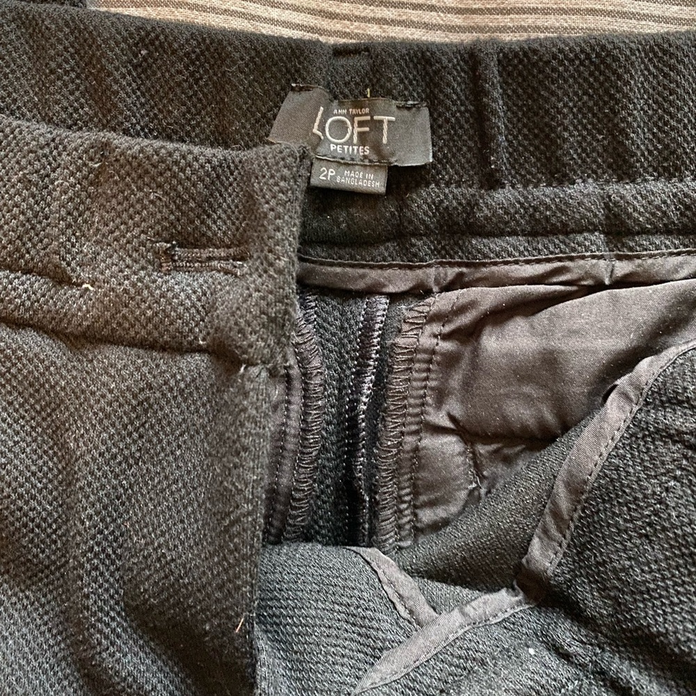 Loft knit office pants